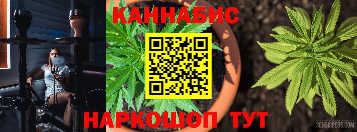 МАРИХУАНА White Widow  Вход с VPN  Сальск  МАРИХУАНА план  Шишки марихуана план  Бошки марихуана тримм 